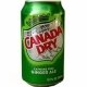 50023 Canada Dry Ginger Ale 12oz. 24ct.